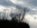 DSCN1686