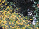 DSCN1691