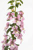 1320085847ANGELONIA-ALONIA-PINK