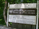 DSC03388