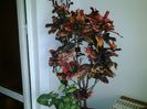 20131124_133035