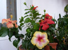 P1080016