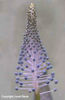 Scilla%20madeirensis