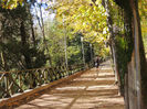 DSCN1751