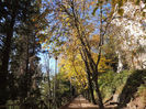 DSCN1755