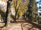DSCN1756