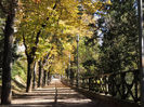 DSCN1757