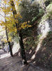 DSCN1759