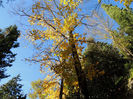 DSCN1761