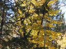 DSCN1762
