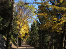 DSCN1764