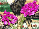 DSC00403