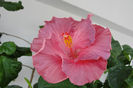 DSC08903