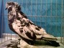 IMG00763-20131122-1801