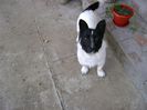 DSC01079