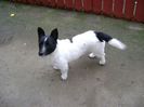 DSC01081