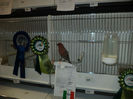 Reggio-Emilia 2013 046