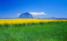 images (47)