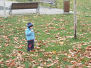 DSCN2628