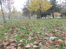 DSCN2631