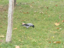 DSCN2634
