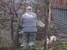 PNL-ist fruntas