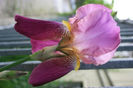 e80a418833_187__IMG_2347b