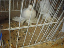 Picture 537