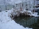 DSC05108