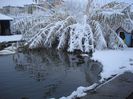 DSC05110