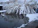 DSC05111