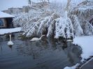 DSC05112