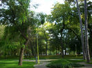 DSCI0565