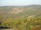DSCI0341