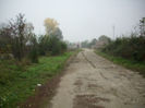 DSCI0343