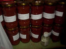 DSCI0406