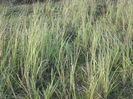 DSCI0687