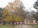 DSCI0856