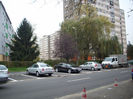 DSCI0866