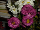 DSCI0895