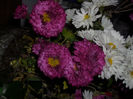 DSCI0896