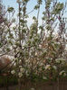 DSCI0064