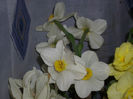 DSCI0086