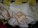 DSCI0087