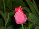 DSCI0145