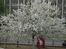 DSCI0163