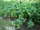 DSCI0684