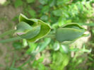 DSCI0698