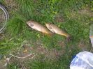Photo0007