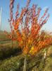 poze 152